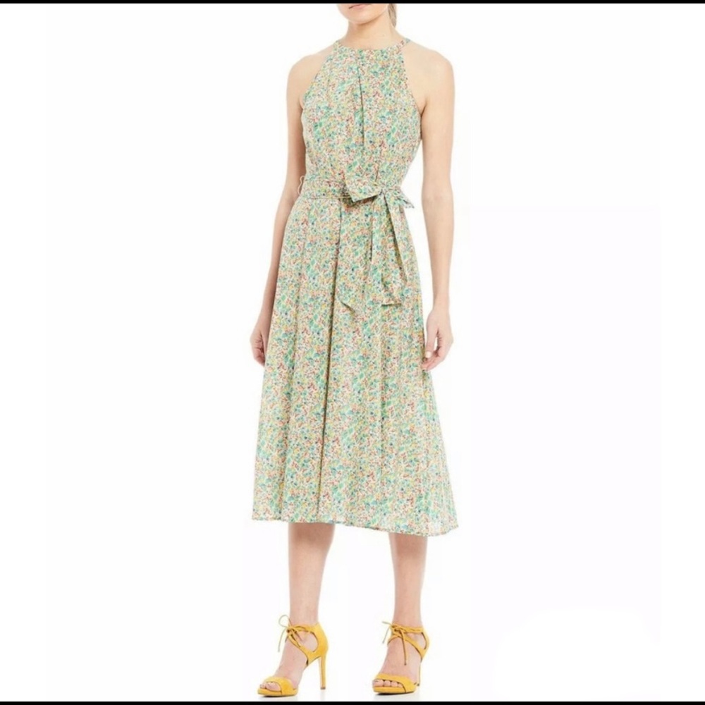 NWT Antonio Melani Bethel Midi Spring Orchard Dress
